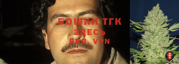 spice Белокуриха