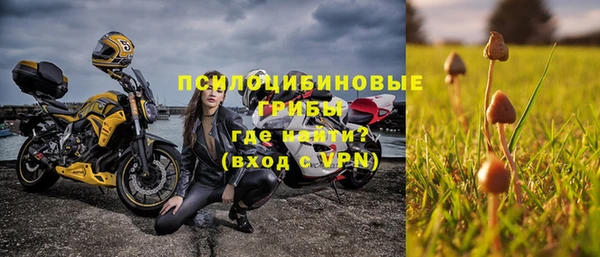 spice Белокуриха