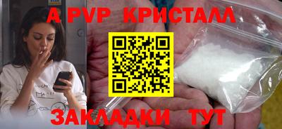 ECSTASY Гагарин