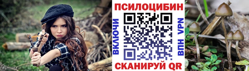 MEGA ONION  Буйнакск  Галлюциногенные грибы MAGIC MUSHROOMS  купить закладку 