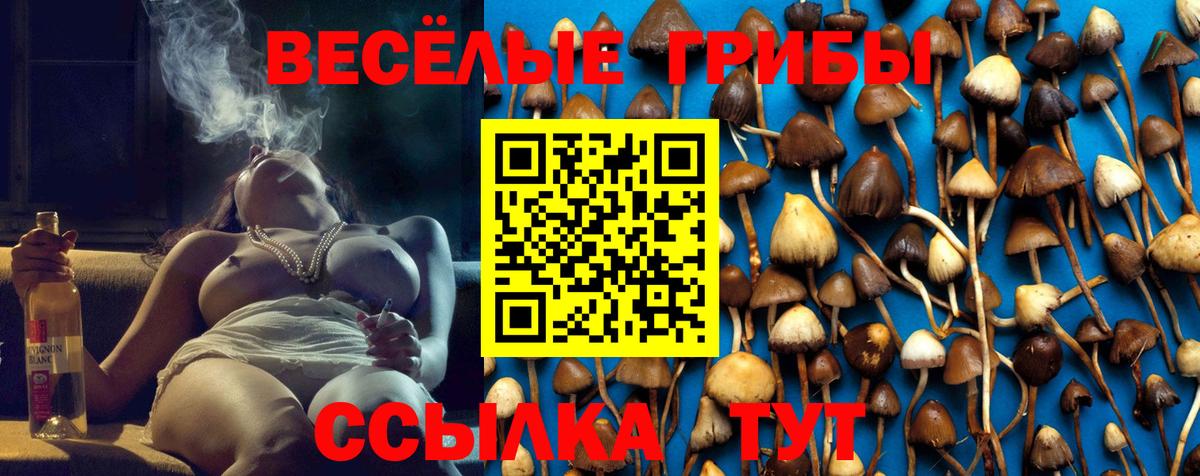 Галлюциногенные грибы мухоморы Буйнакск