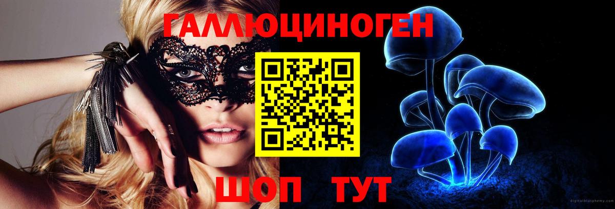 Буйнакск  Галлюциногенные грибы Psilocybe  Вход с VPN 